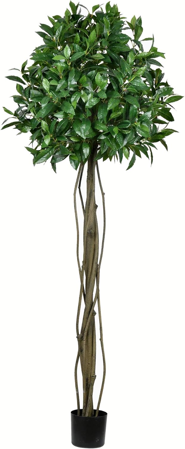 Vickerman Artificial Bay Leaf Tree 6 Feet Tall Green Indoor Topiary