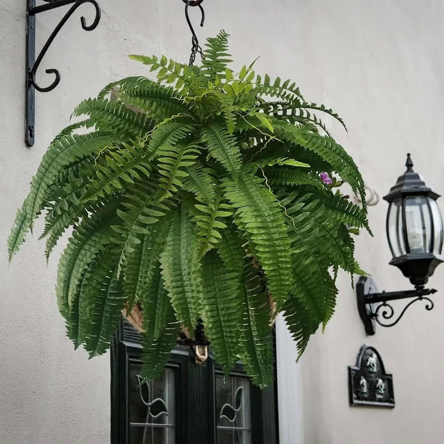 UV Resistant Artificial Boston Ferns 38 Leaves
