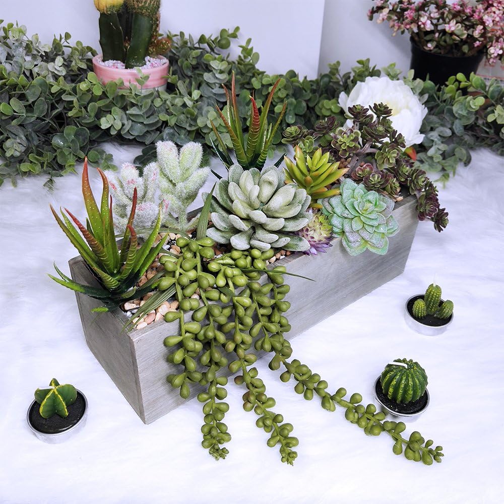 Supla Artificial Succulent Plants in Rectangular Wooden Pot Set