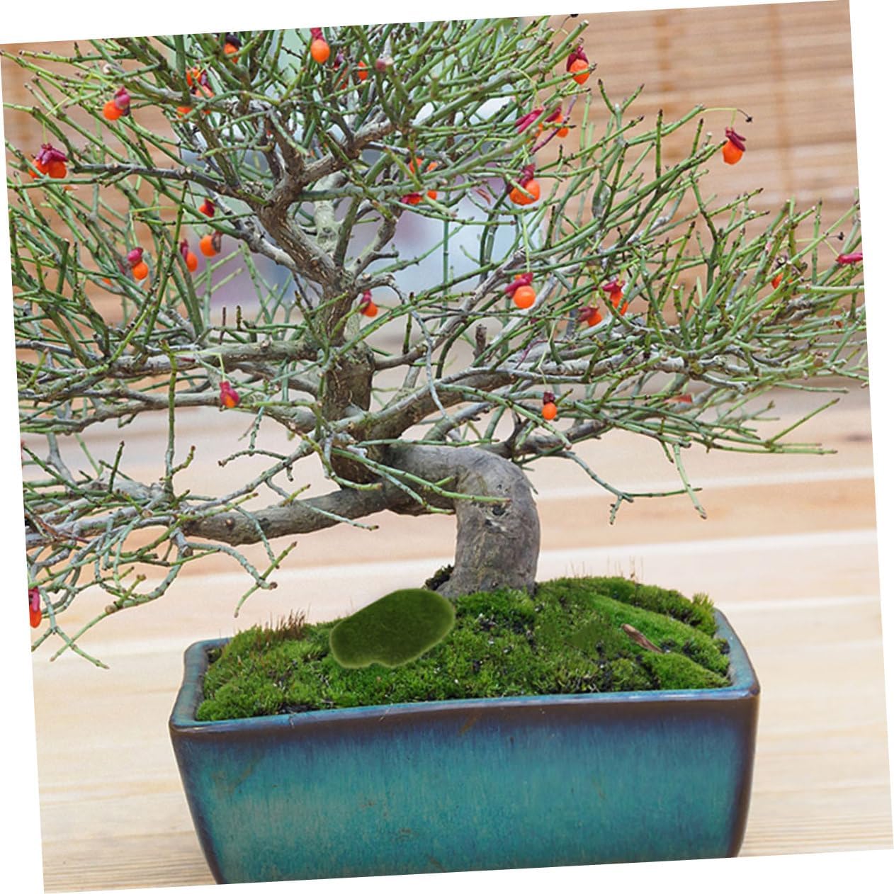 12Pcs Artificial Mossy Stone Props for Garden and DIY Crafts