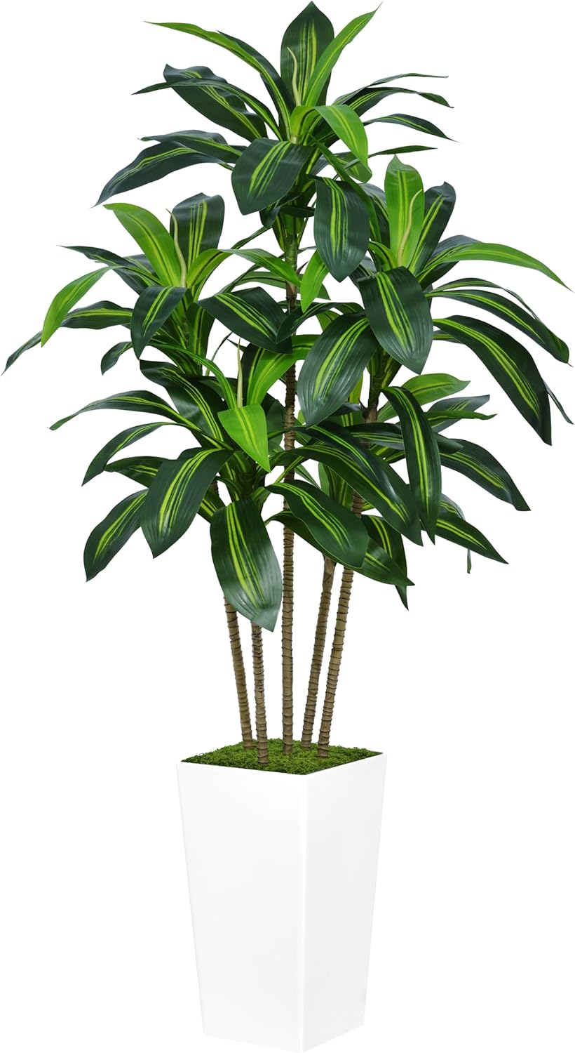 Artificial Dracaena Tree 5FT with White Planter