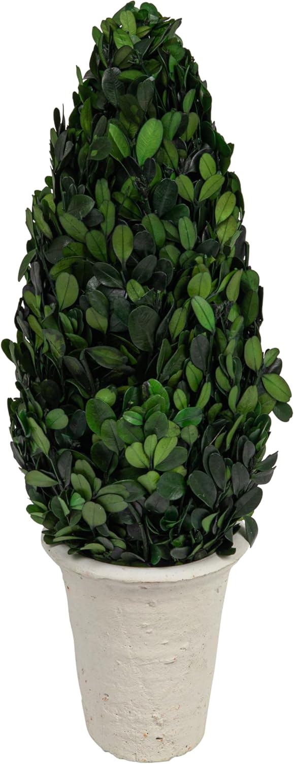 Creative Co Op Boxwood Topiary in Clay Pot