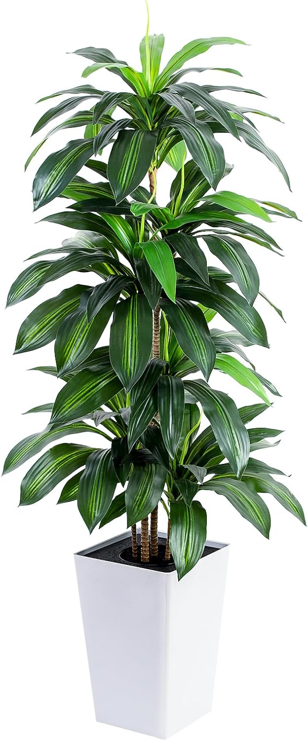 Flowworld Artificial Dracaena Tree 5ft Tall with White Planter