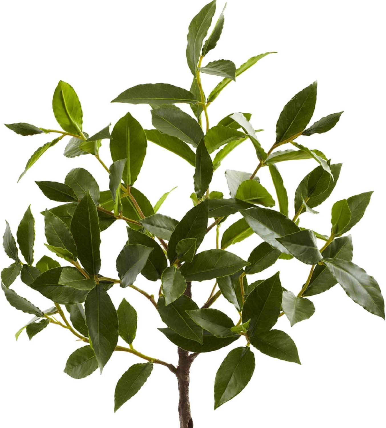 Nearly Natural 29 Inch Topiary with Decorative Planter