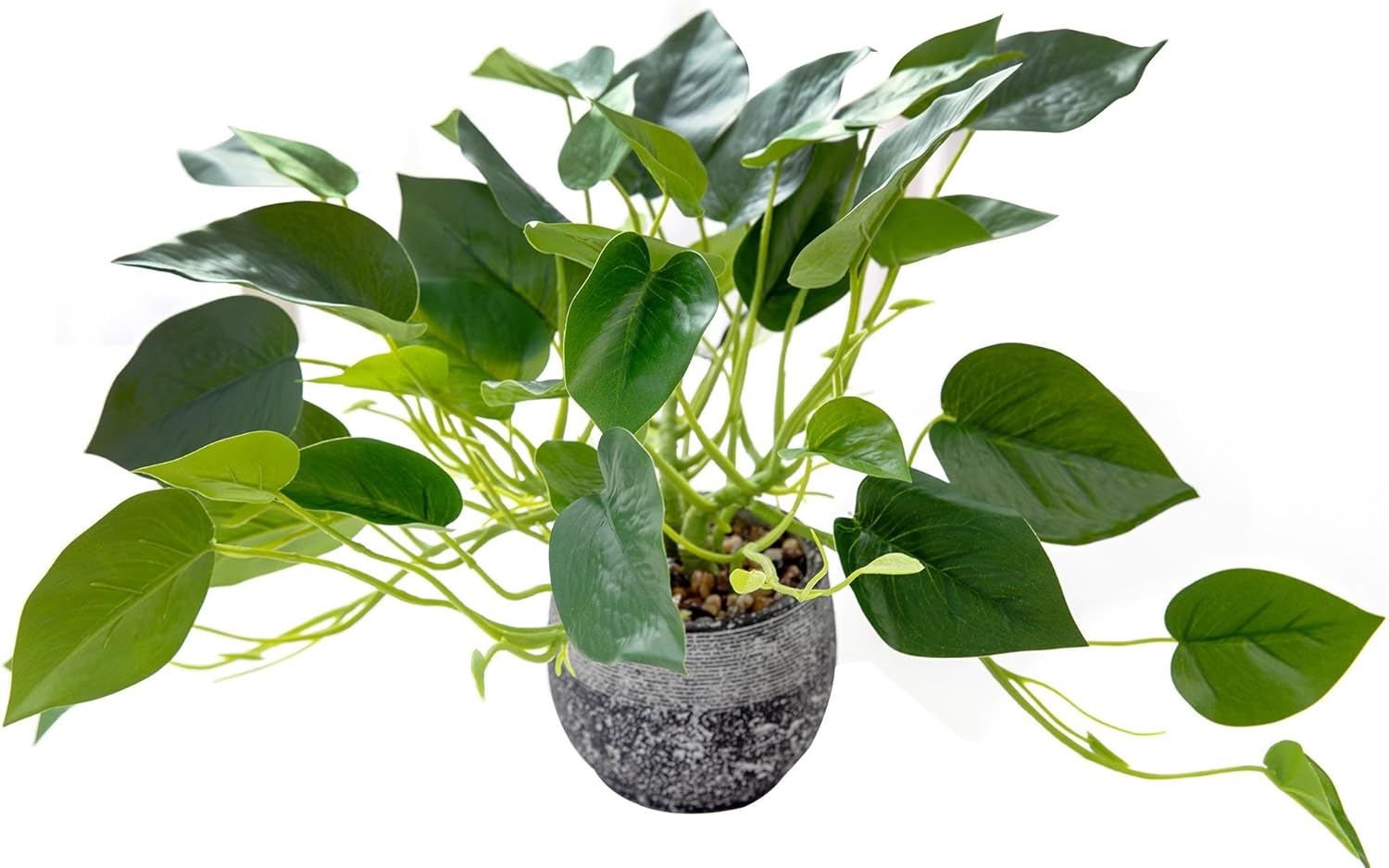 AlphaAcc Artificial Ivy Plant in Rustic Black Cement Pot