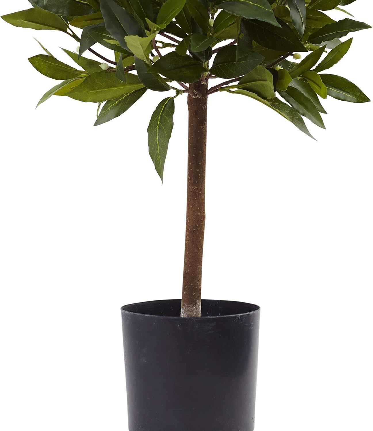 Nearly Natural 2ft Sweet Bay Mini Ball Topiary