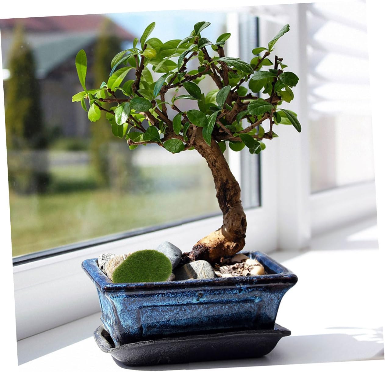 12Pcs Artificial Moss Rocks for DIY Micro Landscape Decor
