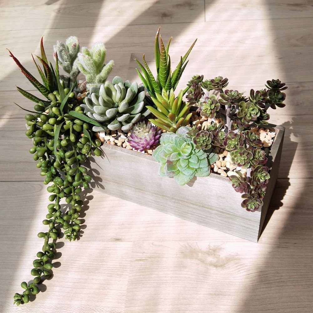 Supla Artificial Succulent Plants in Rectangular Wooden Pot Set