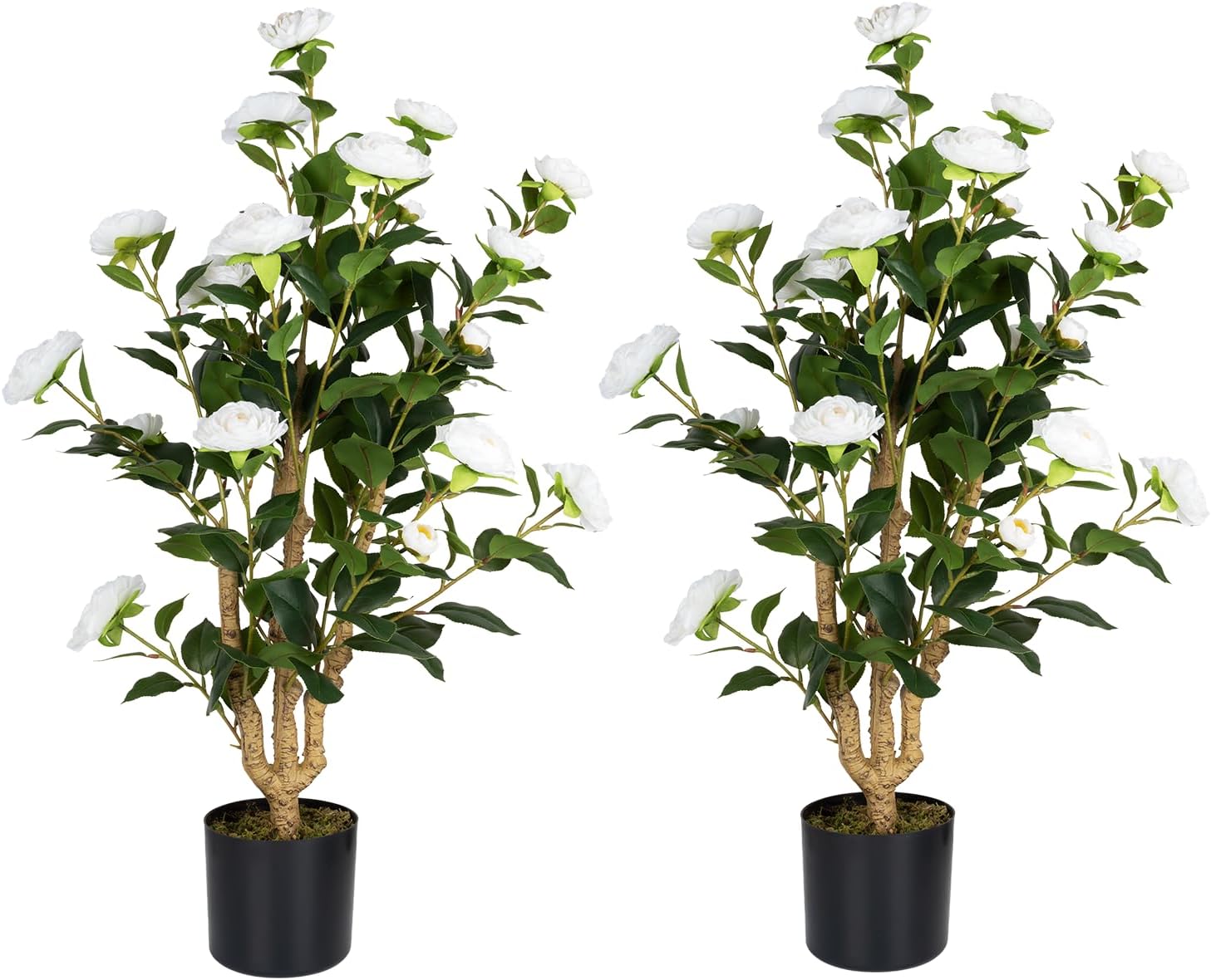 Artificial Camellia Tree 2 Pack with White Flowers