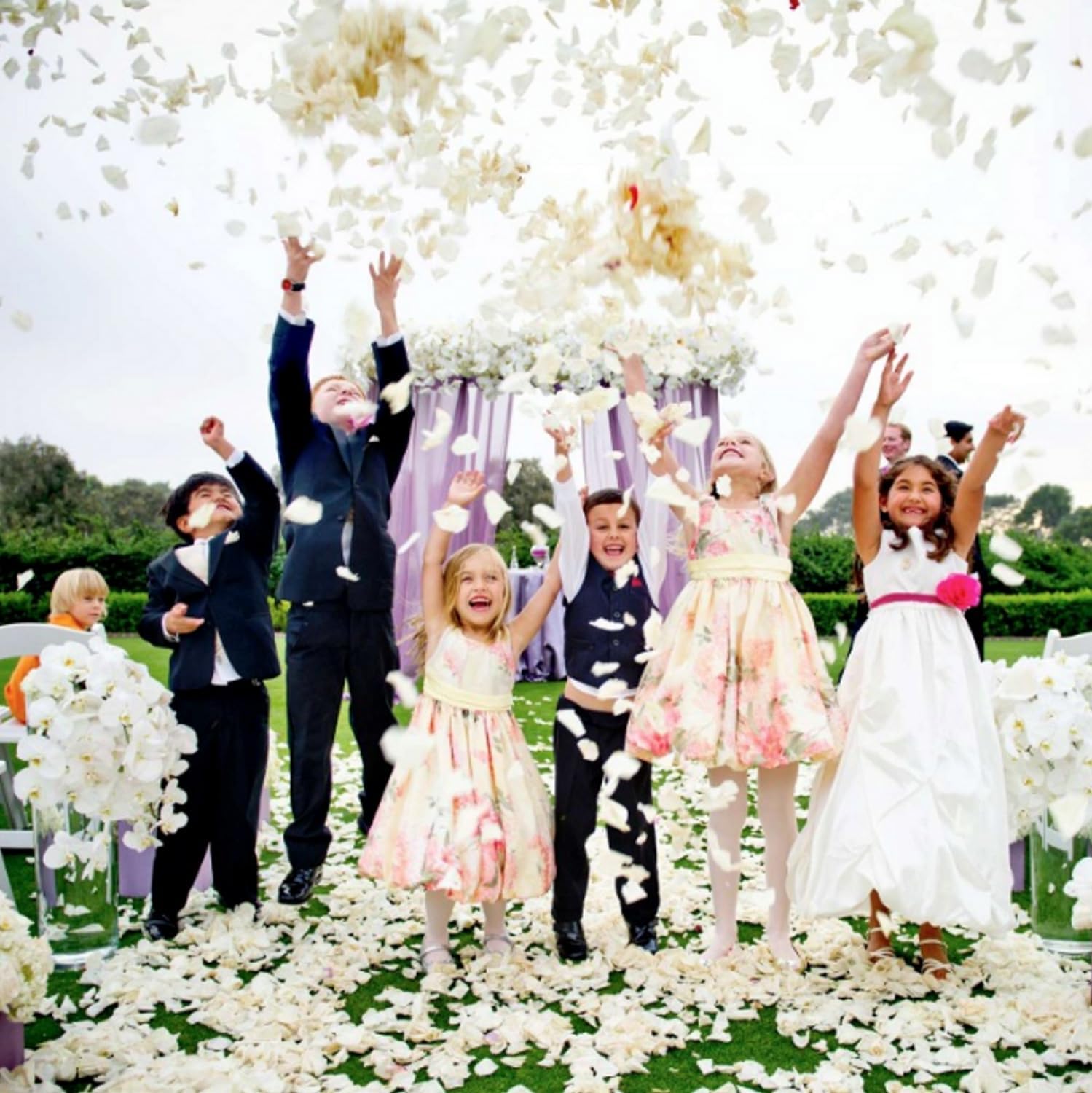 Code Florist 2200 pcs Silk Flower Rose Petals Ivory