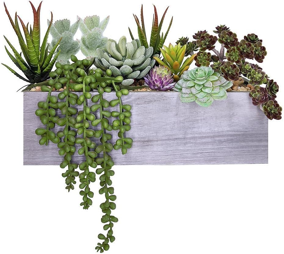 Supla Artificial Succulent Plants in Rectangular Wooden Pot Set