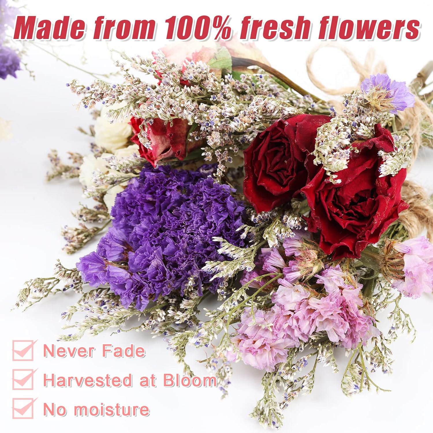 10 Pack Mini Dried Flower Bouquets with Stem Forget Me Not