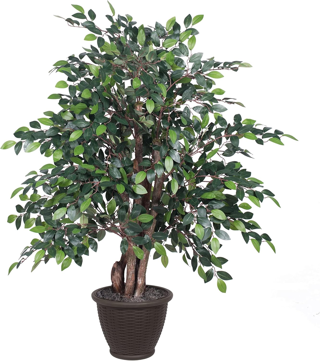 Vickerman 4 Foot Artificial Mini Ficus Bush with Decorative Container