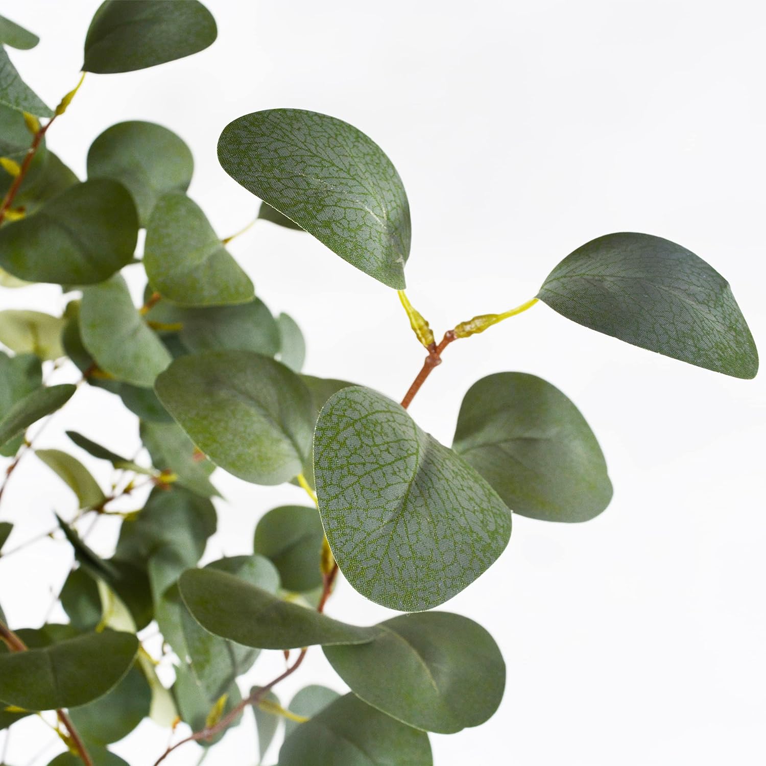 6ft Tall Artificial Eucalyptus Tree with Basket
