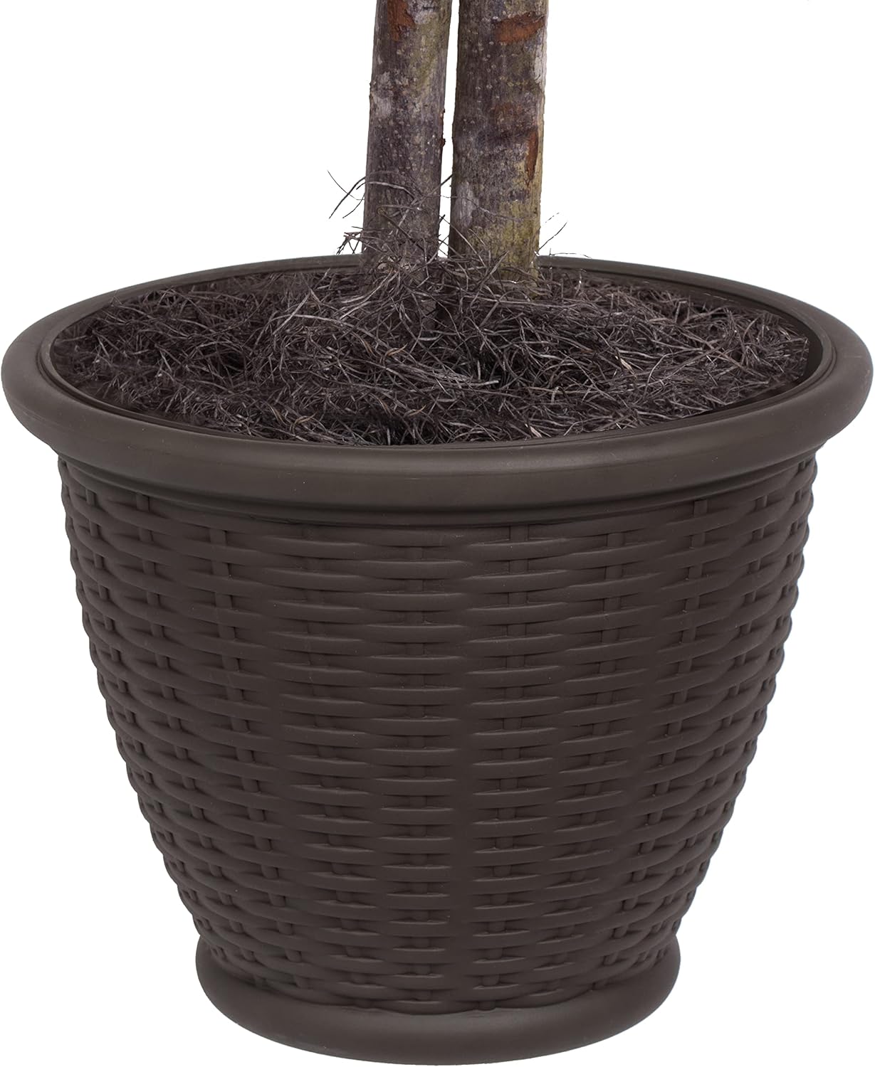 Vickerman 4 Foot Artificial Frosted Maple Bush with Brown Container