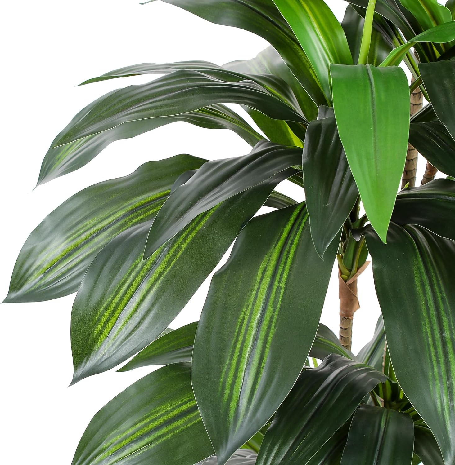 Flowworld Artificial Dracaena Tree 5ft Tall with White Planter