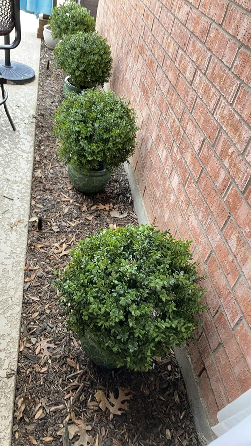24 Inch Boxwood Ball Artificial Topiary Potted Plant