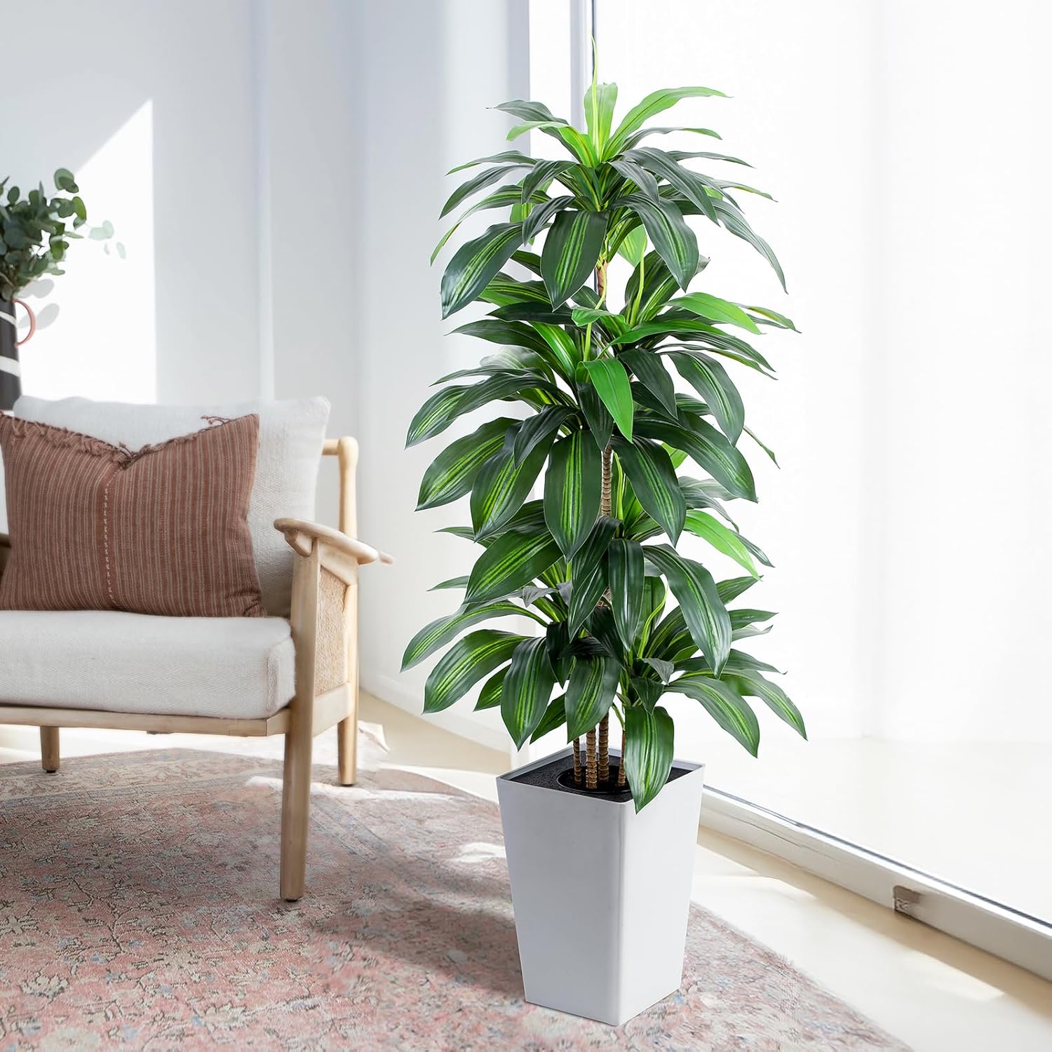 Flowworld Artificial Dracaena Tree 5ft Tall with White Planter