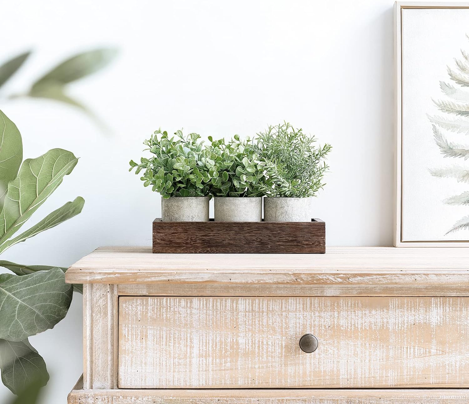 Dahey 3 Pack Mini Artificial Eucalyptus Plants with Wood Tray