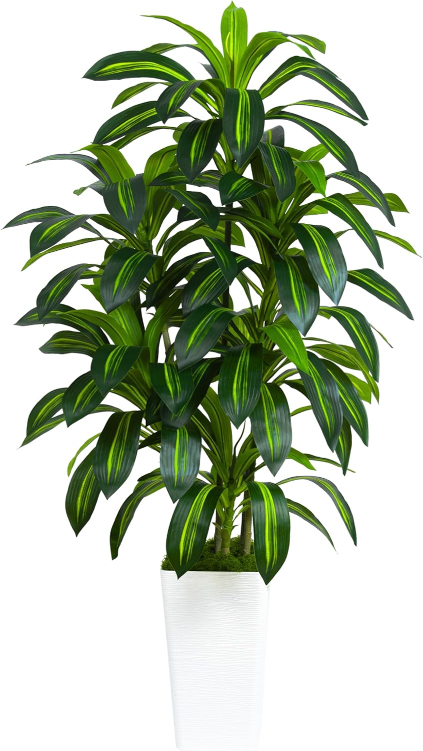 Artificial Dracaena Plant 5FT 6 Trunks Indoor Fake Tree