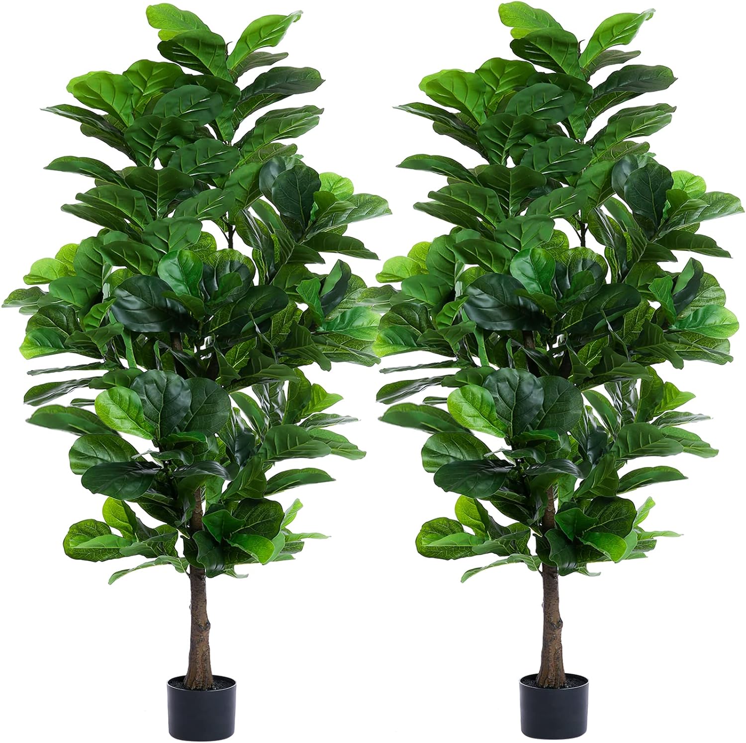FLOWORLD Fiddle Leaf Fig Tree 6ft Artificial 2 Pack