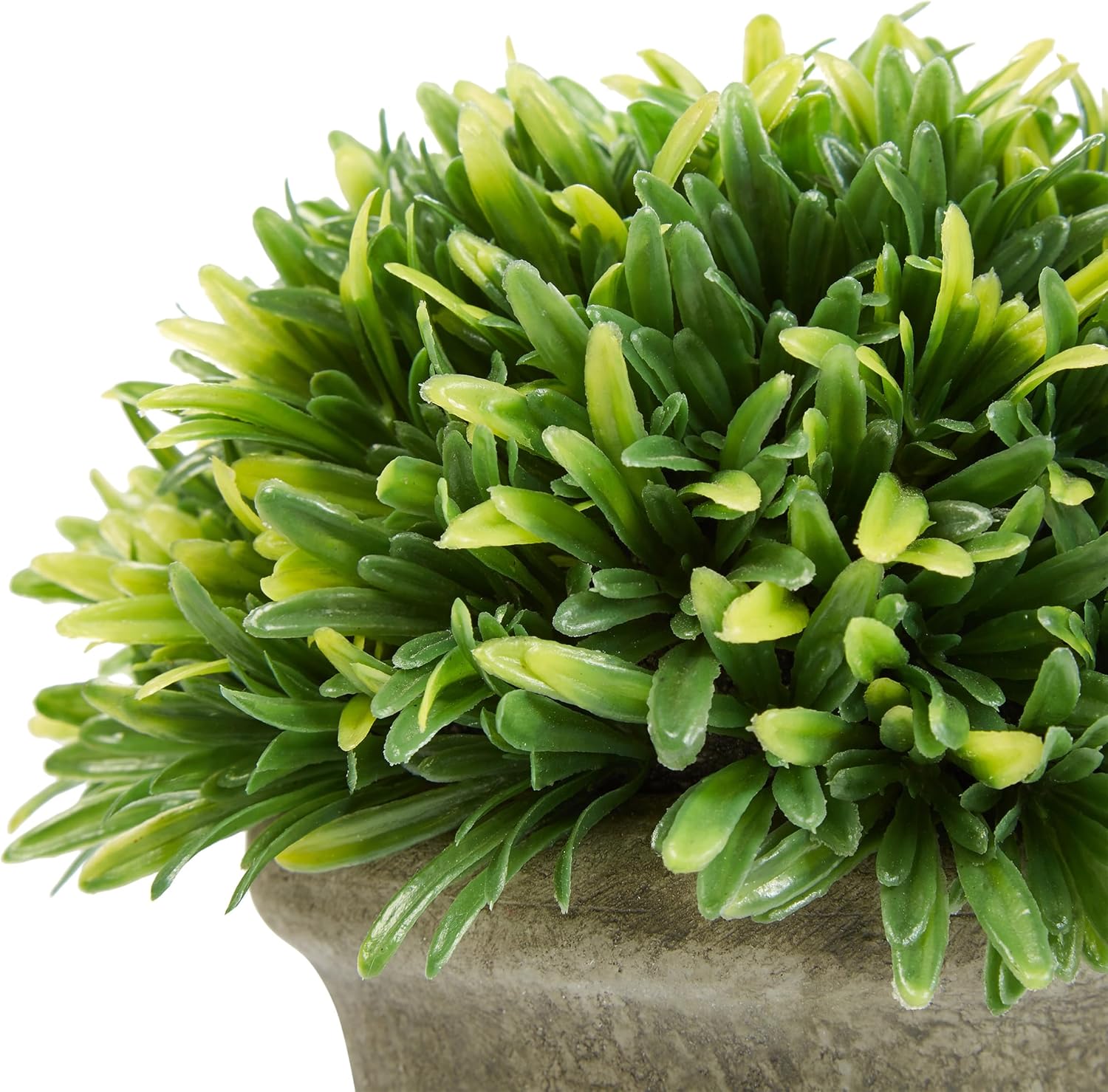 Set of 3 Artificial Podocarpus in Concrete Pot