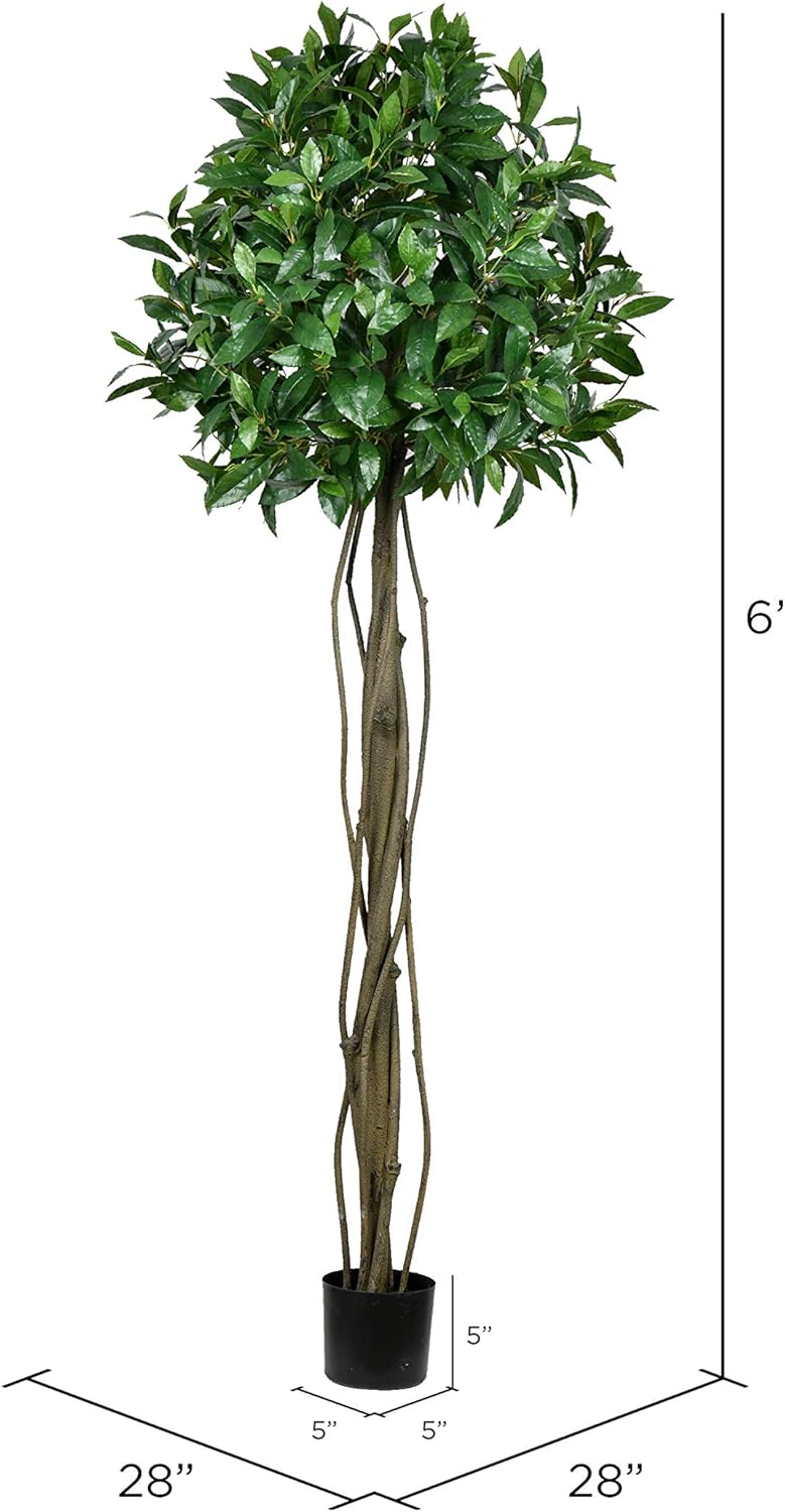 Vickerman Artificial Bay Leaf Tree 6 Feet Tall Green Indoor Topiary