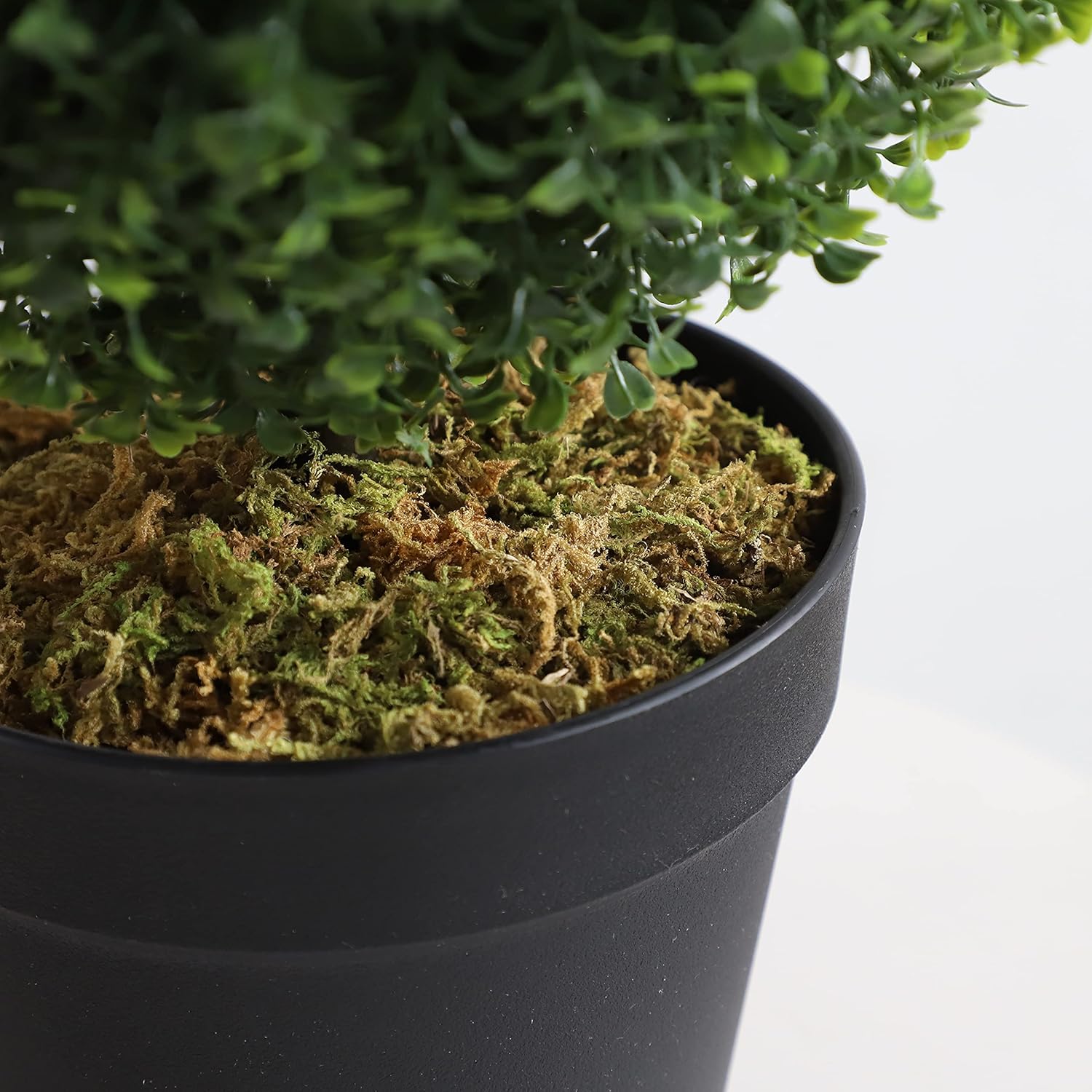 Momoplant 2 Pack Triple Ball Boxwood Topiaries