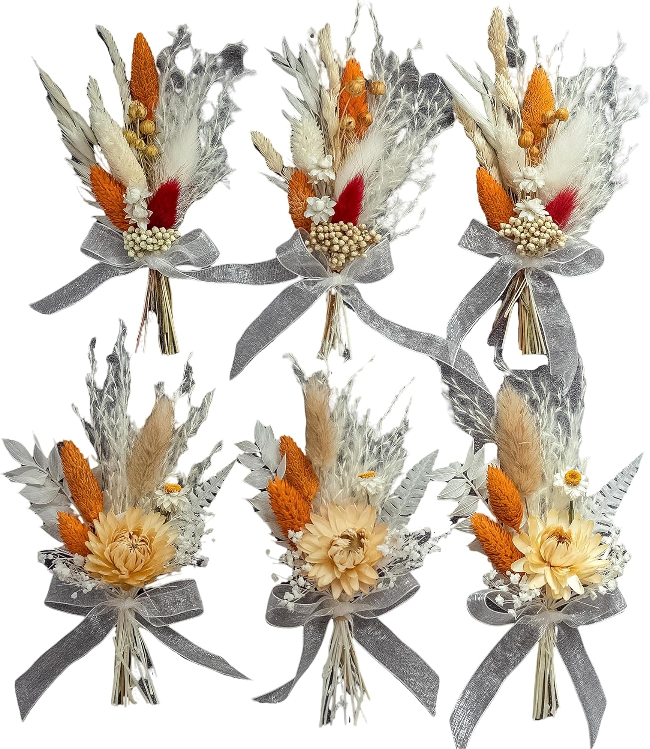 Xins Convey Mini Dried Flower Set Pack of 6