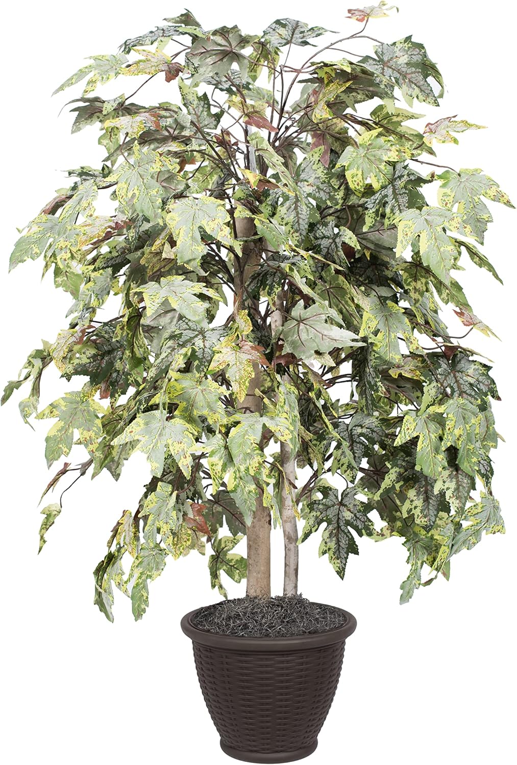 Vickerman 4 Foot Artificial Frosted Maple Bush with Brown Container