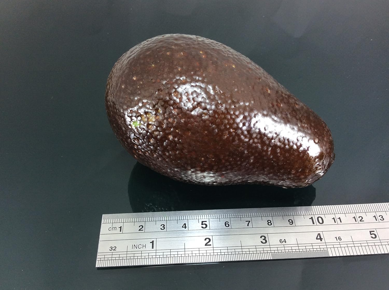 Perfect2Desire Avocado Brown Artificial Fruit Decor