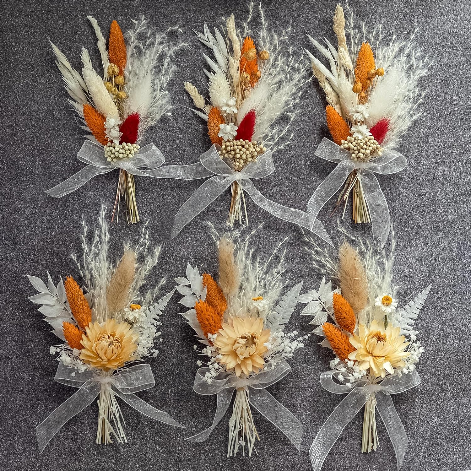 Xins Convey Mini Dried Flower Set Pack of 6