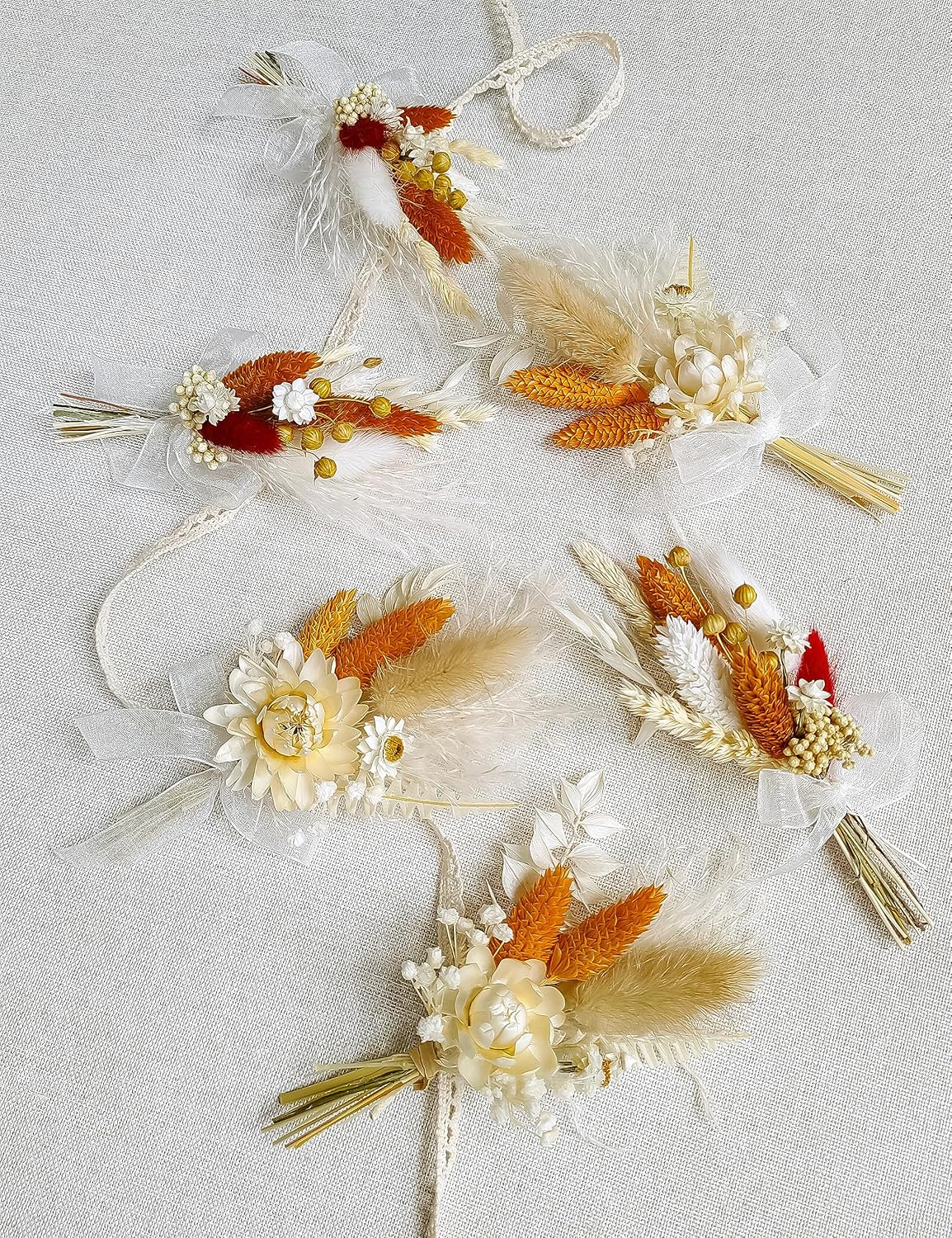 Xins Convey Mini Dried Flower Set Pack of 6